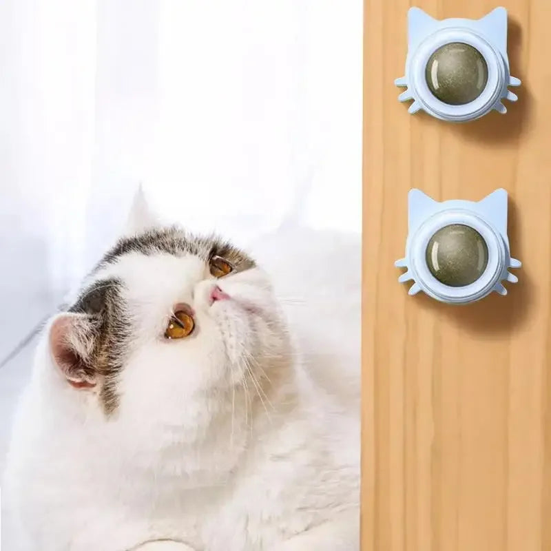 Catnip Balls: Fun Snack and Play Toy for Cats