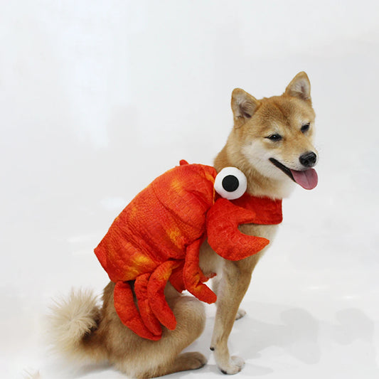 Crab costume