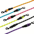 Load image into Gallery viewer, Reflective Heavy-Duty Dog Leash with Padded Handle
