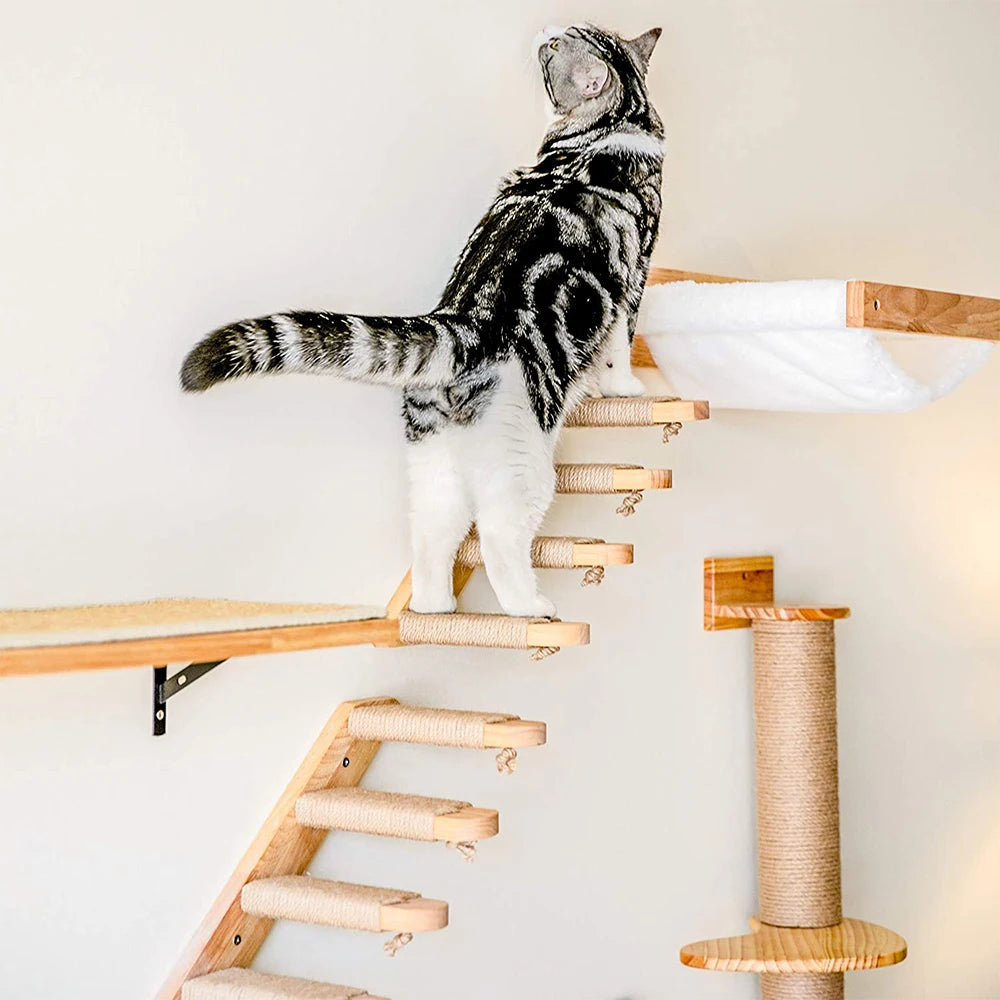 Wall-Mounted Cat Climbing Shelf with Scratching Posts