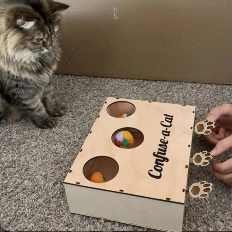 Cat Hunting Box