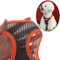 Load image into Gallery viewer, Summer Pincher Puppy Vest Harness and Leash Set for Small Dogs
