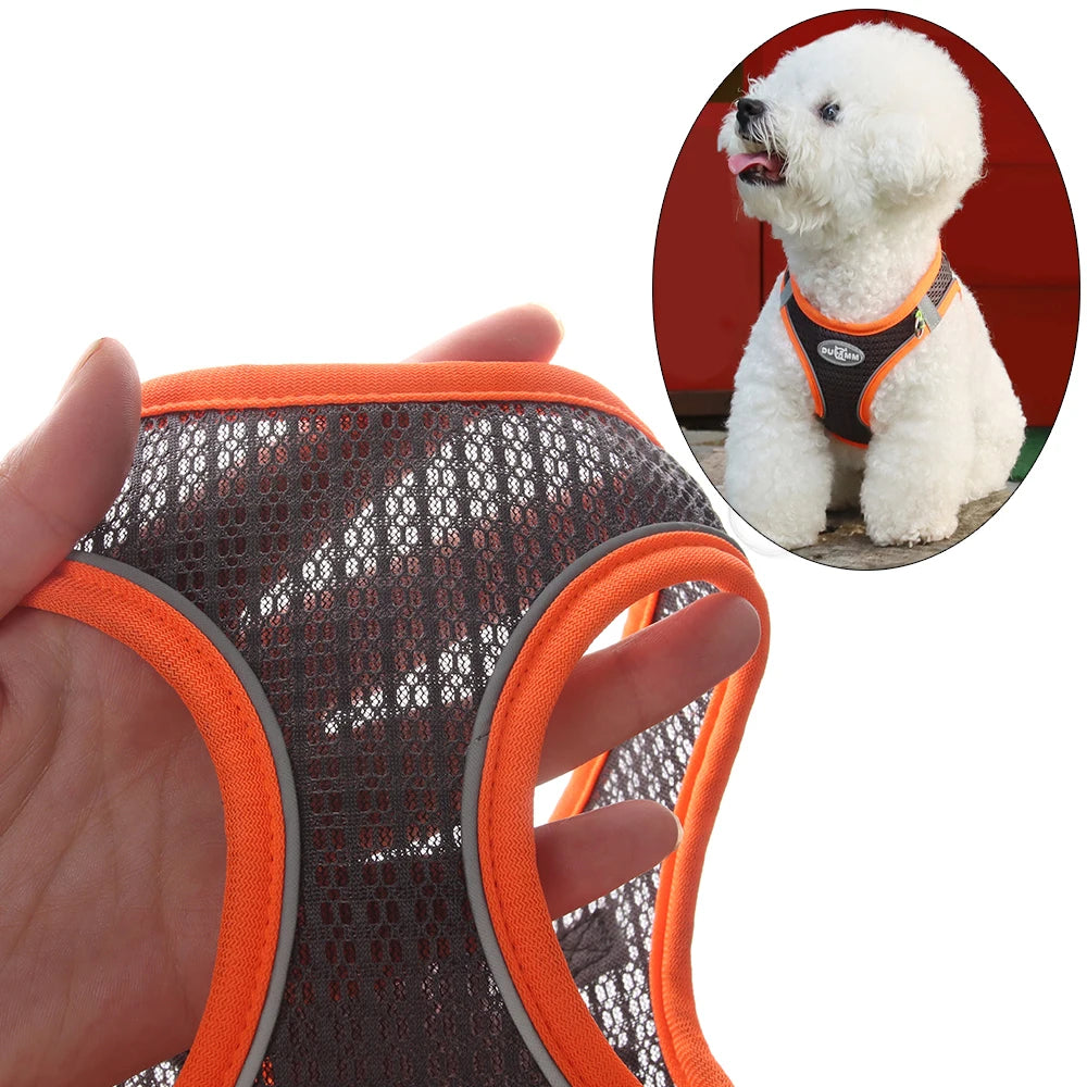 Summer Pincher Puppy Vest Harness and Leash Set for Small Dogs