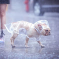 Load image into Gallery viewer, Waterproof Transparent Raincoat
