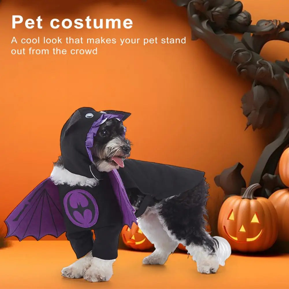 Pet Halloween Costume