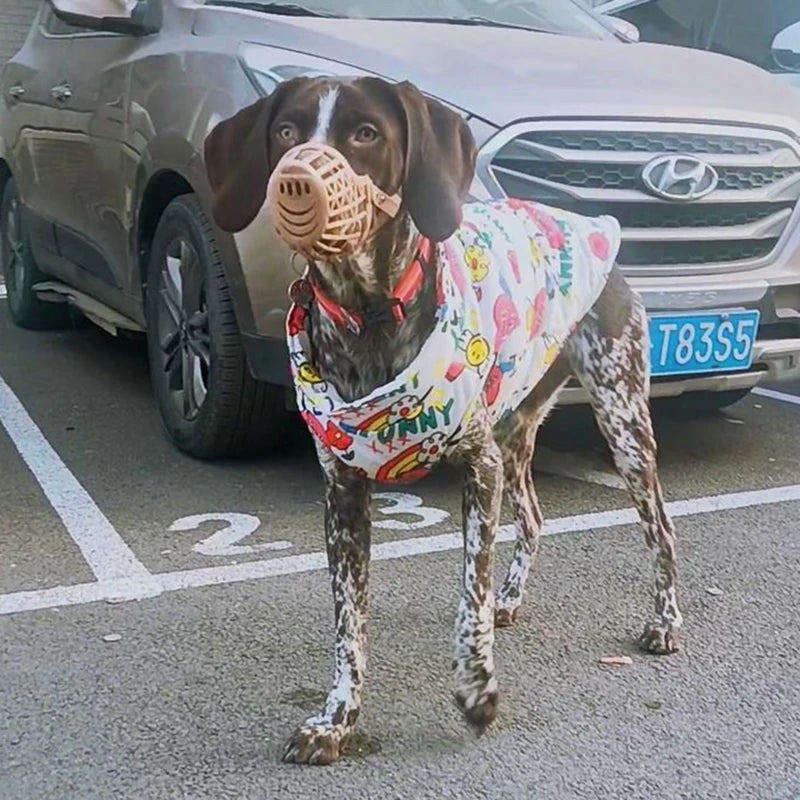 Waterproof Dog Jacket