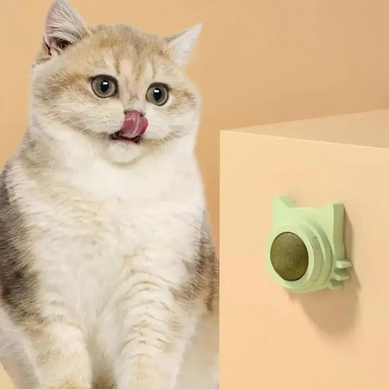 Catnip Balls: Fun Snack and Play Toy for Cats