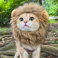 Load image into Gallery viewer, Cute Lion Wig
