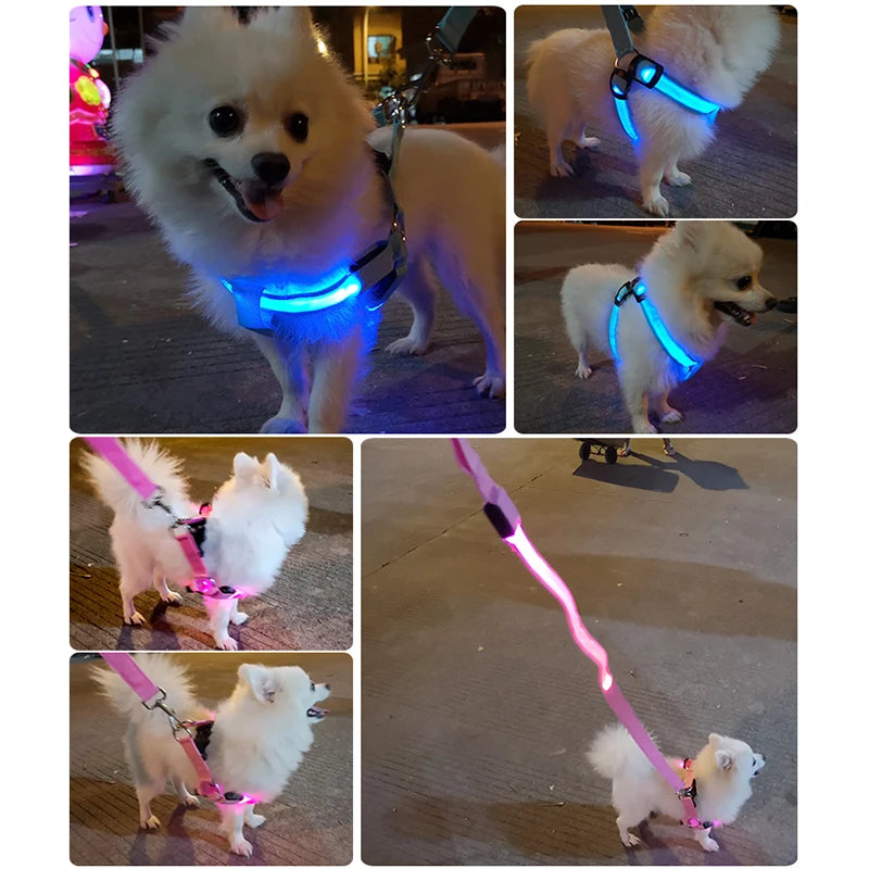 LED Glowing No-Pull Dog Harness. Night Safety