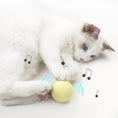 Load image into Gallery viewer, Smart Touch Toy Balls with sound & catnip
