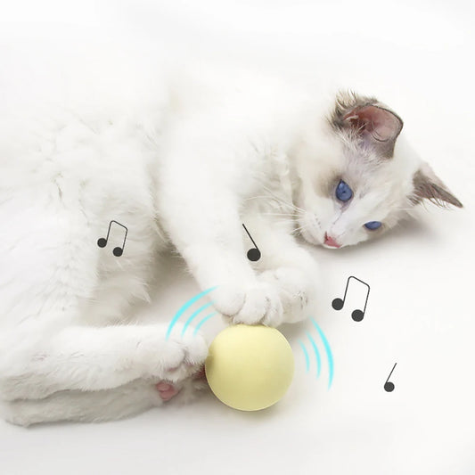 Smart Touch Toy Balls with sound & catnip