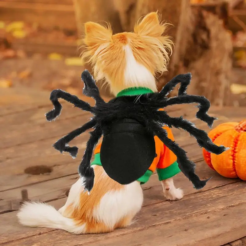 Halloween Spider Costume