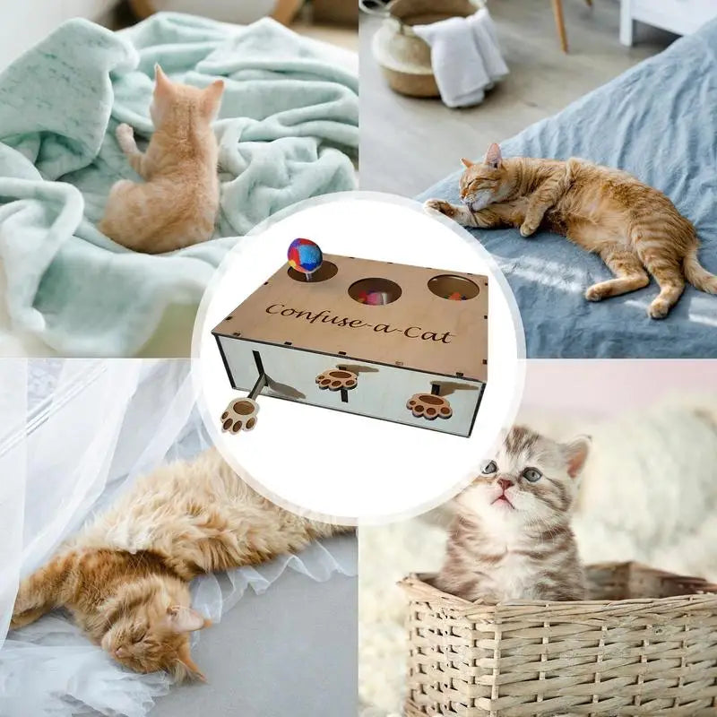 Cat Hunting Box