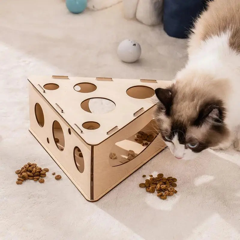 Wooden Cat Ball & Scratcher Toy