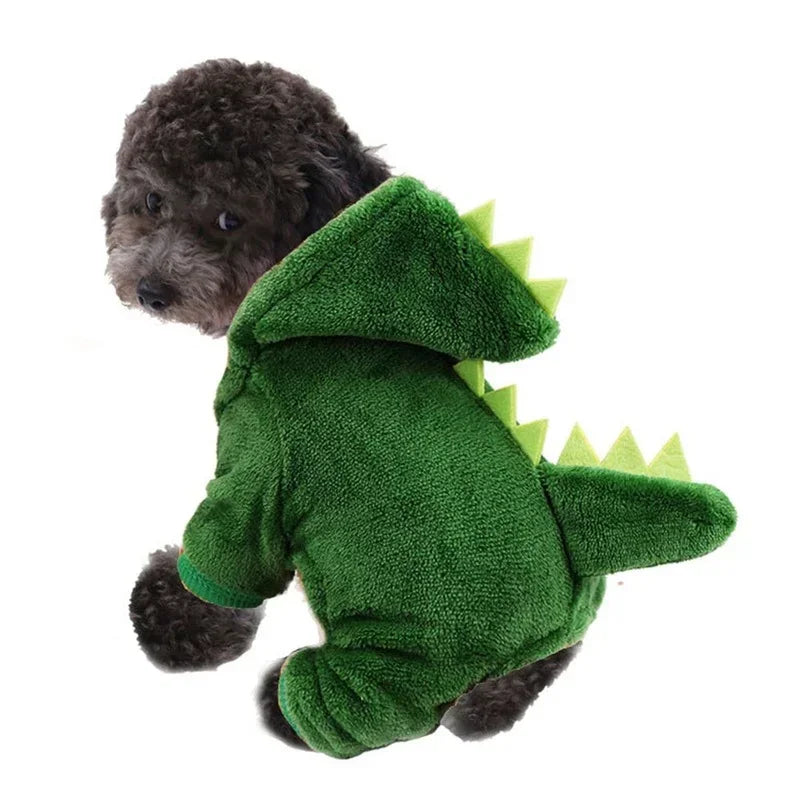 Dinosaur Costume