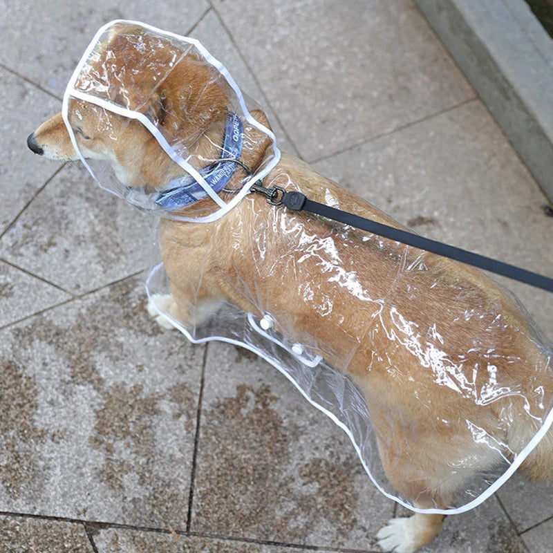 Waterproof Transparent Raincoat