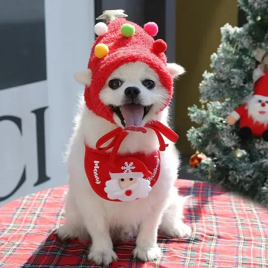 Christmas Hat and Cartoon Bandana Set