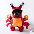 Load image into Gallery viewer, Crab Custume
