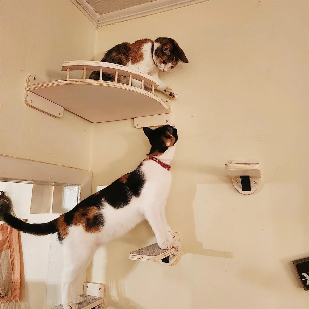 Wall-Mounted Cat Climbing Shelf with Scratching Posts