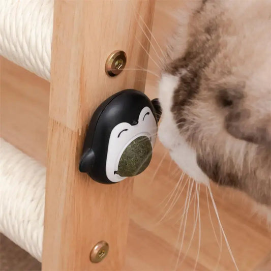 Catnip Balls: Healthy Teeth-Grinding Toy for Cats