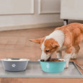 Load image into Gallery viewer, Non-Slip Stainless Steel Pet Bowl: Large Capacity and Rust-Resistant
