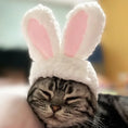 Load image into Gallery viewer, Cat and Rabbit Headgear
