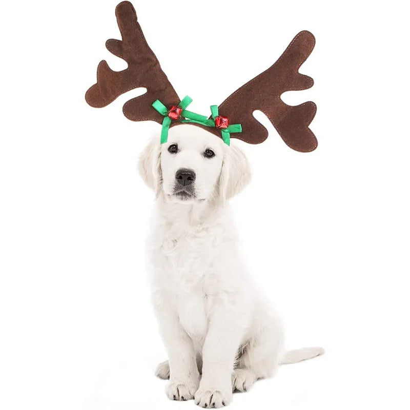 Elk Antlers and Santa Hat Pet Costume