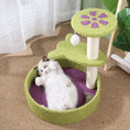 Load image into Gallery viewer, Cute Cat Tree Tower with Sisal Rope & toy
