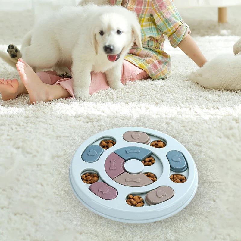 Interactive Pet Feeder & Educational toy