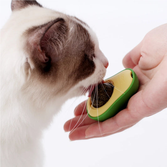 Rotatable Catnip Wall Balls: Clean Teeth, Aid Digestion, and Entertain Your Kitten