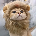 Load image into Gallery viewer, Lion Cosplay Costume
