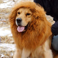 Load image into Gallery viewer, Lion Wig Costume
