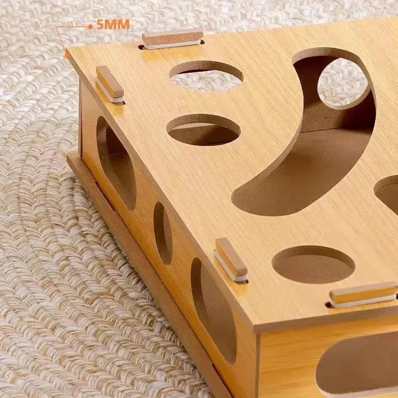 Multi-Hole Interactive Maze