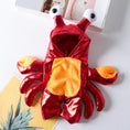 Load image into Gallery viewer, Crab Custume
