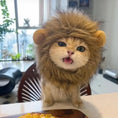 Load image into Gallery viewer, Lion Cosplay Costume
