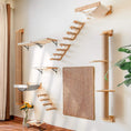 Load image into Gallery viewer, Wall-Mounted Cat Climbing Shelf with Scratching Posts
