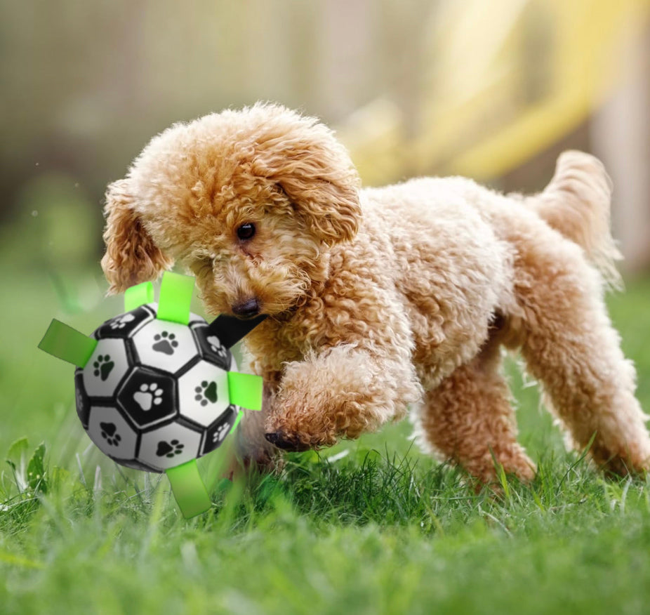 Interactive Dog Chew Soccer Ball with Grab Tabs